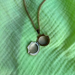 Seashell Secret Keeper – Guld Shell halskæde