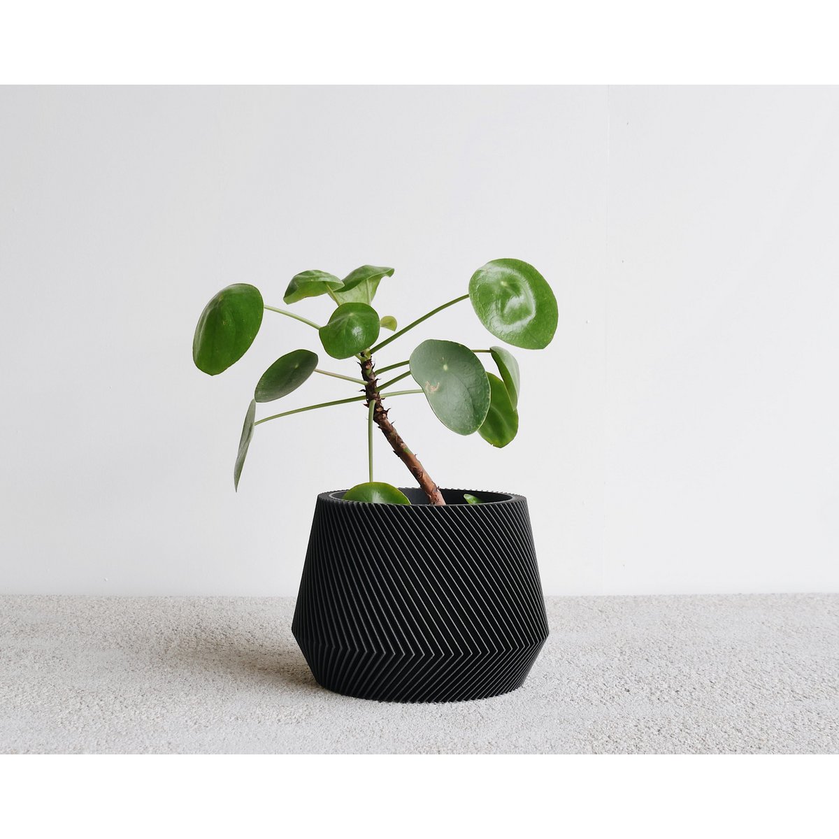Black M - 8,5 cm diameter