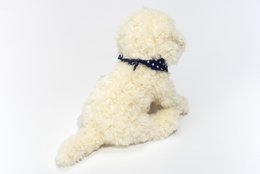 Labradoodle zittend 28 cm - knuffel - knuffel