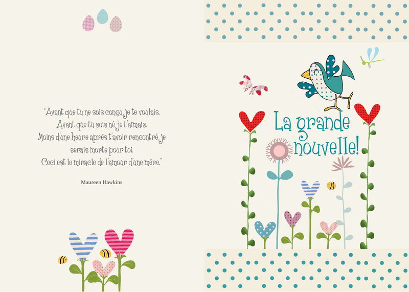 Raconte-Moi Maman, Schwangerschafts- und Geburtstagebuch 2 in 1 Kopie