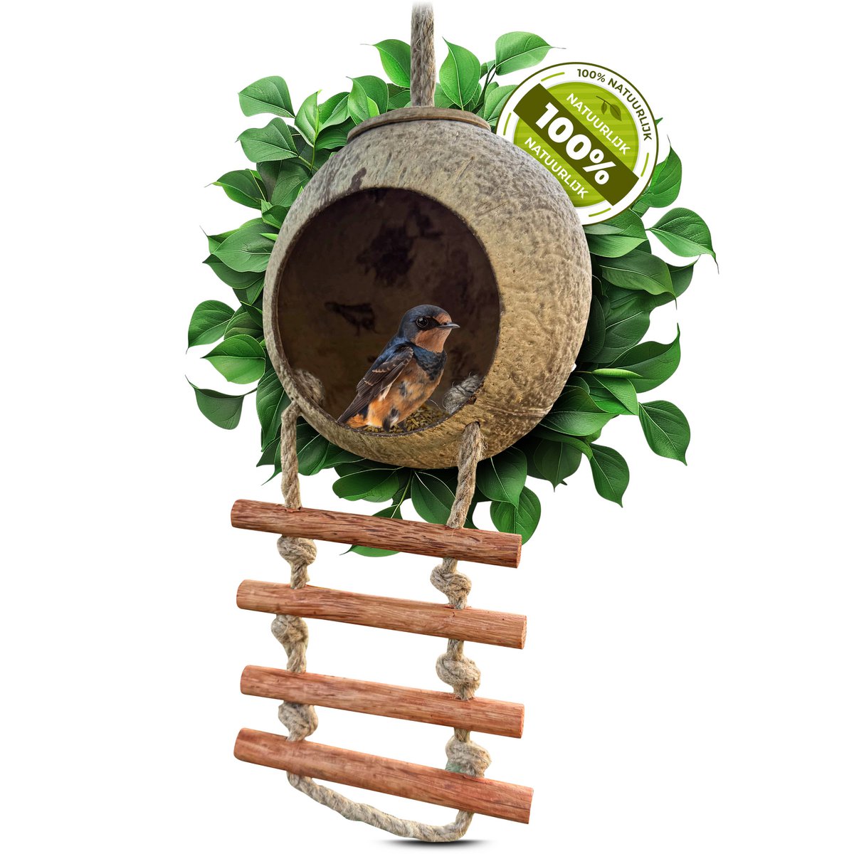 Birdhouse