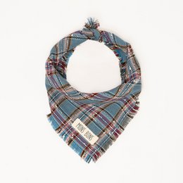 Ramon Bandana