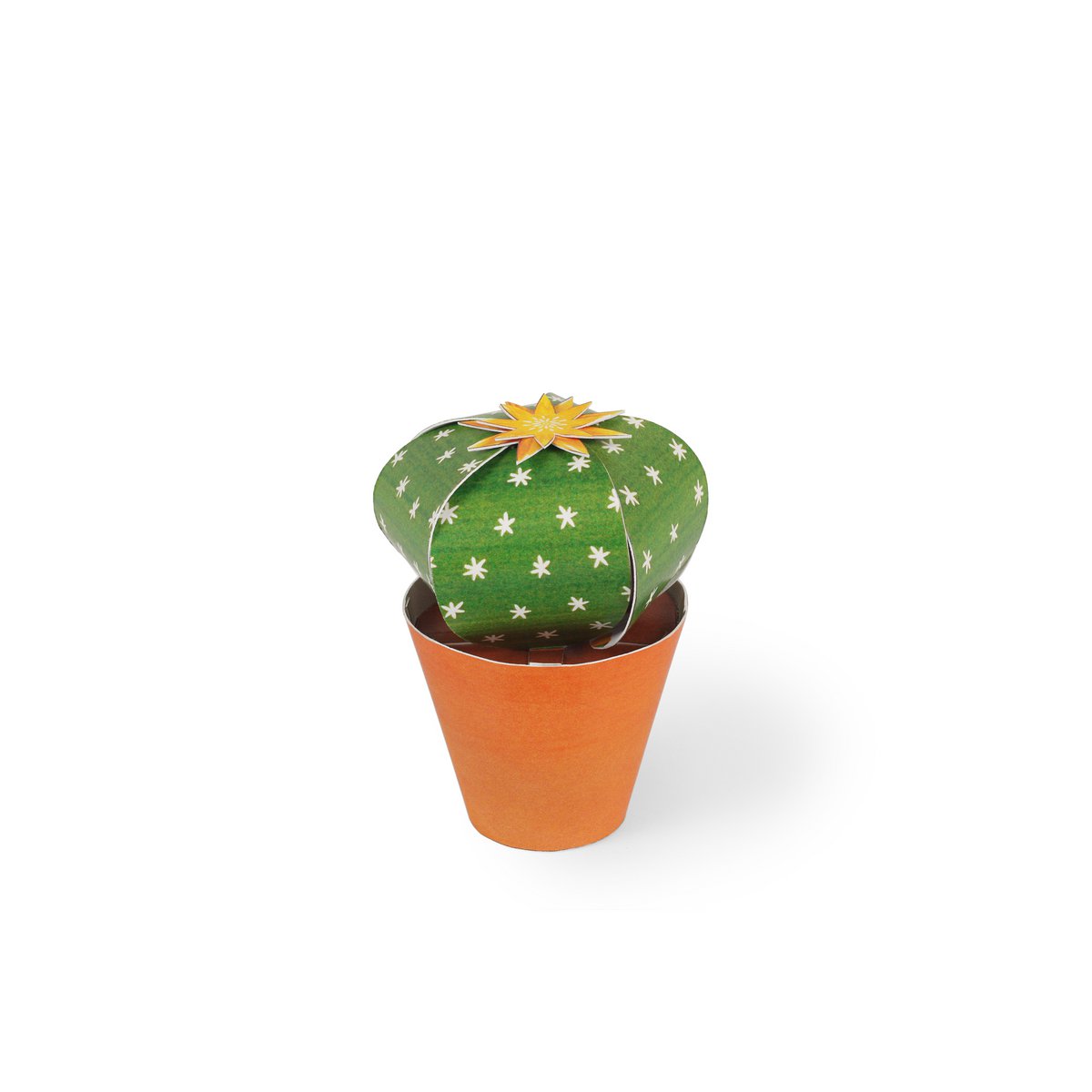Echinocactus grusonii Carte postale