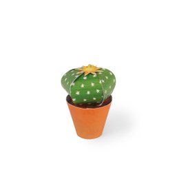 Echinocactus grusonii postkort