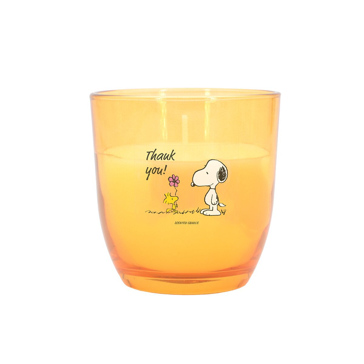 Thekendisplay Peanuts 25 x 100g - 5 x Best Dog Mom, 5 x Best Mom ever, 5 x Good Luck, 5 x You're my superhero, 5 x Thank you
