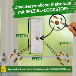 Vinduesfælde for flyvende insekter