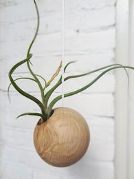 Esfera Colgante - Roble Claro