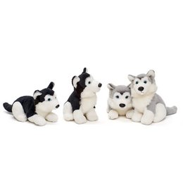 Cuccioli di Husky in peluche, 4 assortiti sdraiati e seduti, ciascuno in nero e grigio