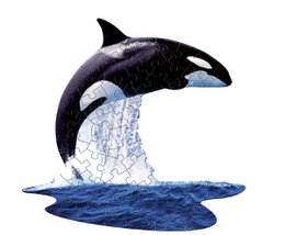 A black and white orca whale jumping out of the water, creating a splash. The image shows the orca's distinctive dorsal fin and powerful body.