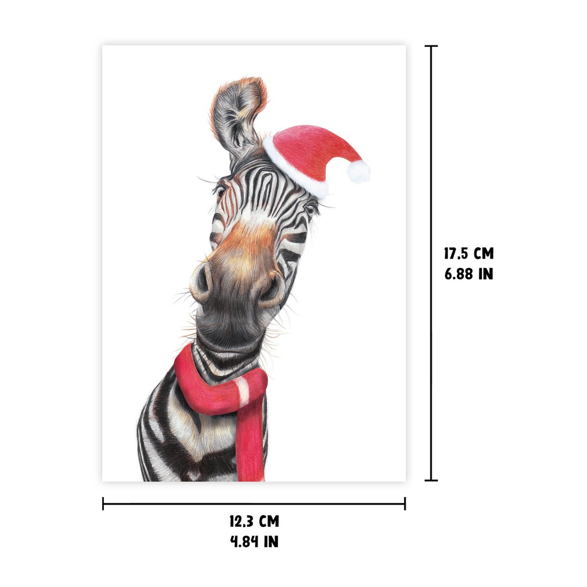 Zebra Christmas Card, Greeting Card, Holiday Card 12,3 x 17,5 cm