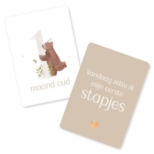 Milestone Maps | baby | first year | sweet forest