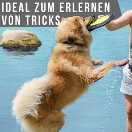 juguete para perros con pídico para perros NE & NO®