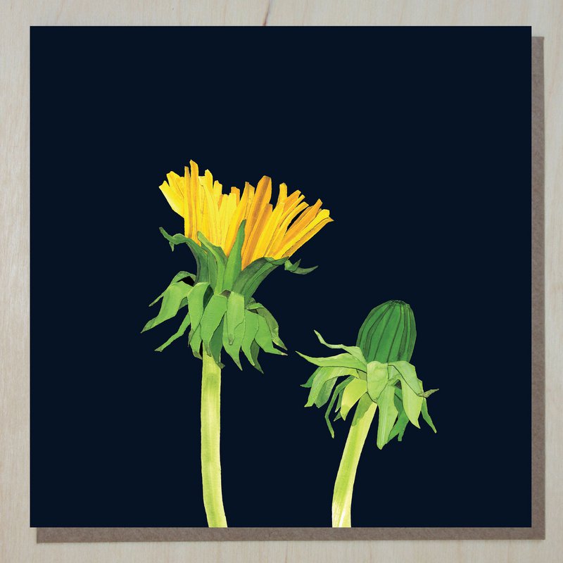 Mælkebøttekort (blomsterkort)