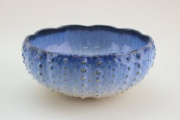 Shell bowl 18 cm sardinas