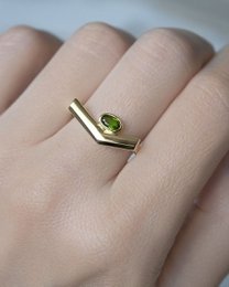 Pioneer Ring guld