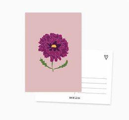 A6 Ansichtkaart || Chrysant || Bloem