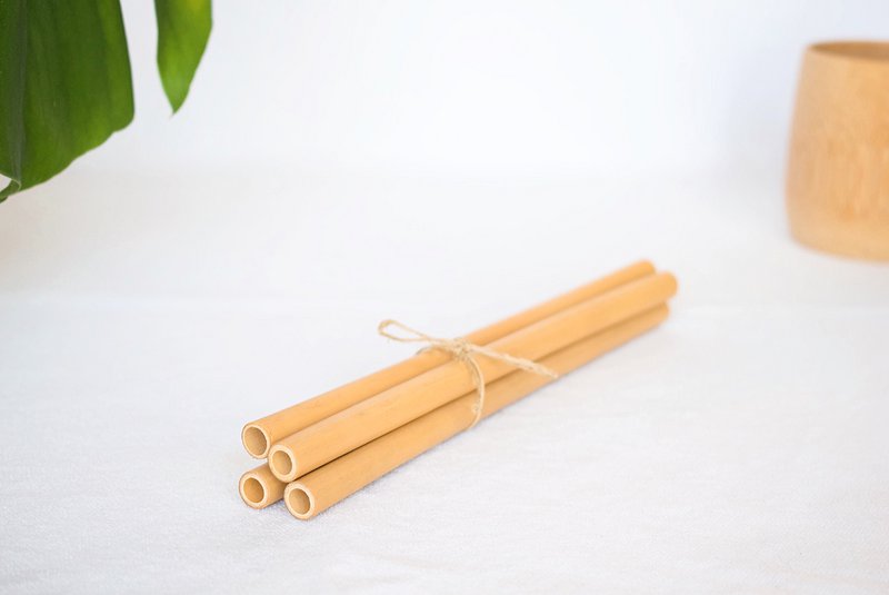 Bamboo reusable Straws | 20 x 0,6 cm