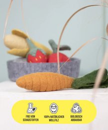 Buddy. Dog toys from Wollfilz "Korotte"