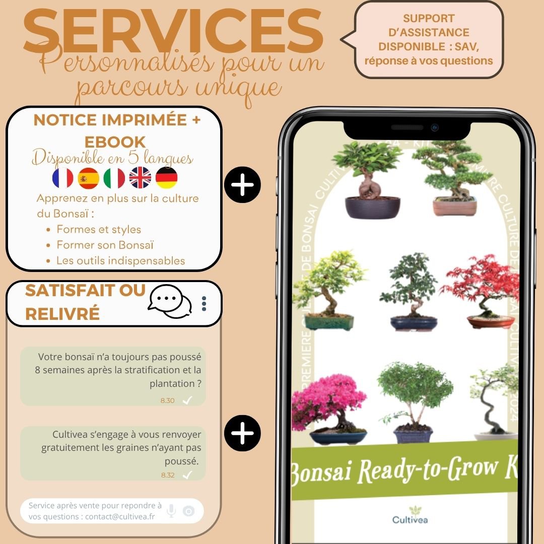Cultivea - Kit First Bonsai - Kit de première culture de bonsaï avec accessoires | Idée cadeau Originale