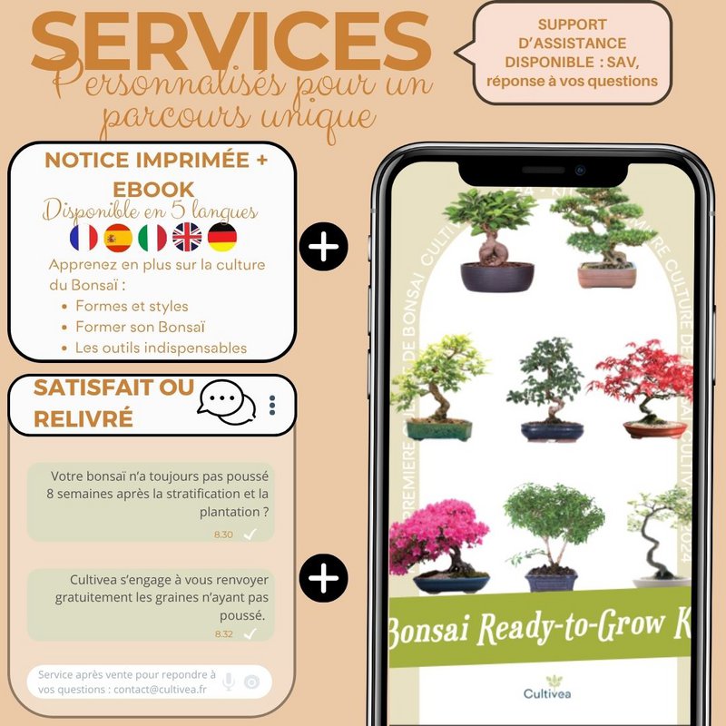 Kultiviert - First Bonsai Kit - First Bonsai Culture Kit mit Accessoires | Originalgeschenkidee