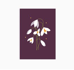 Postal A6 || Campanilla de invierno || Flor