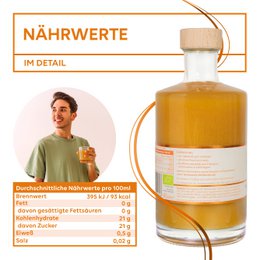 Poura BIO Sciroppo Ingwer Premium 495ml