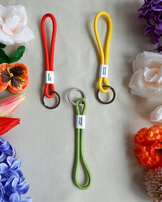 PANTONE KEY CHAIN SHORT