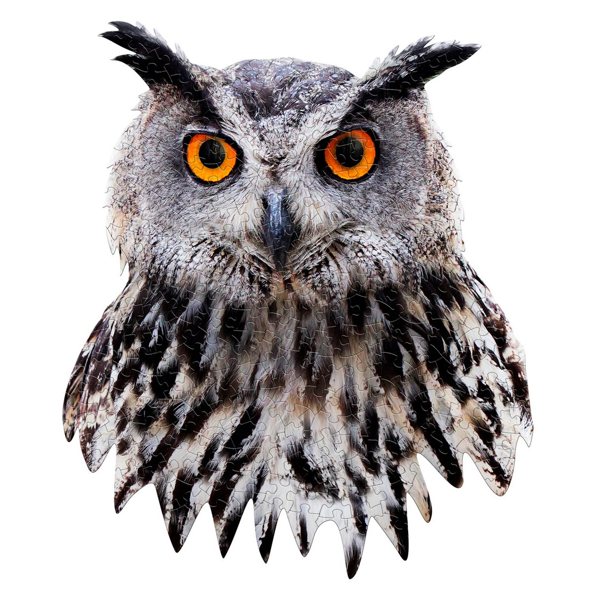 I Am Mini - Uil