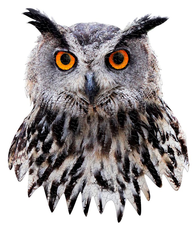 I Am Mini - Uil