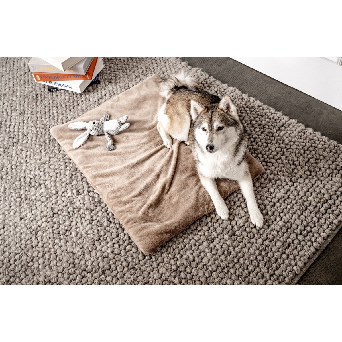 Jouet lapin Théo pour chien