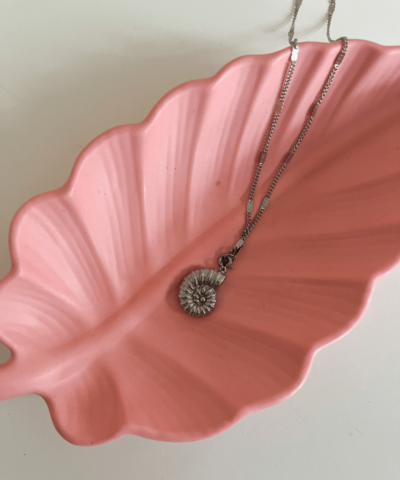 Bladschotel Roze