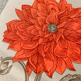Cartolina / Dalia / Risografia