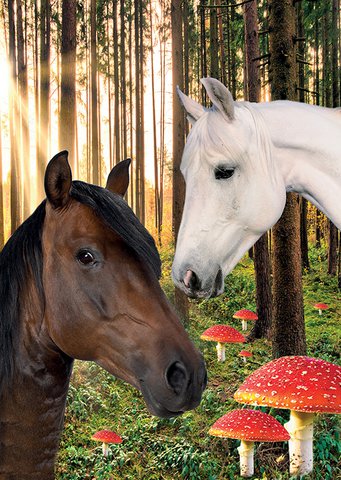 Card Horses 10 pcs.