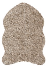 Skinnwille Home