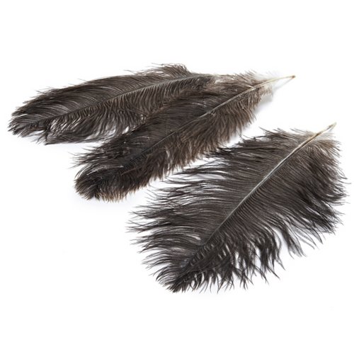 Veer Struisvogelveer, struisvogel, 12 stuks, 20-25cm, bruin