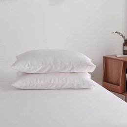  Soft, taupe-colored bamboo pillowcases in a 60x70 size, providing ultimate comfort.
