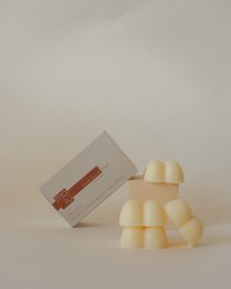 Solid face cream - combination skin