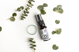Aqua+ Oil Primer: naprawa i odnawianie