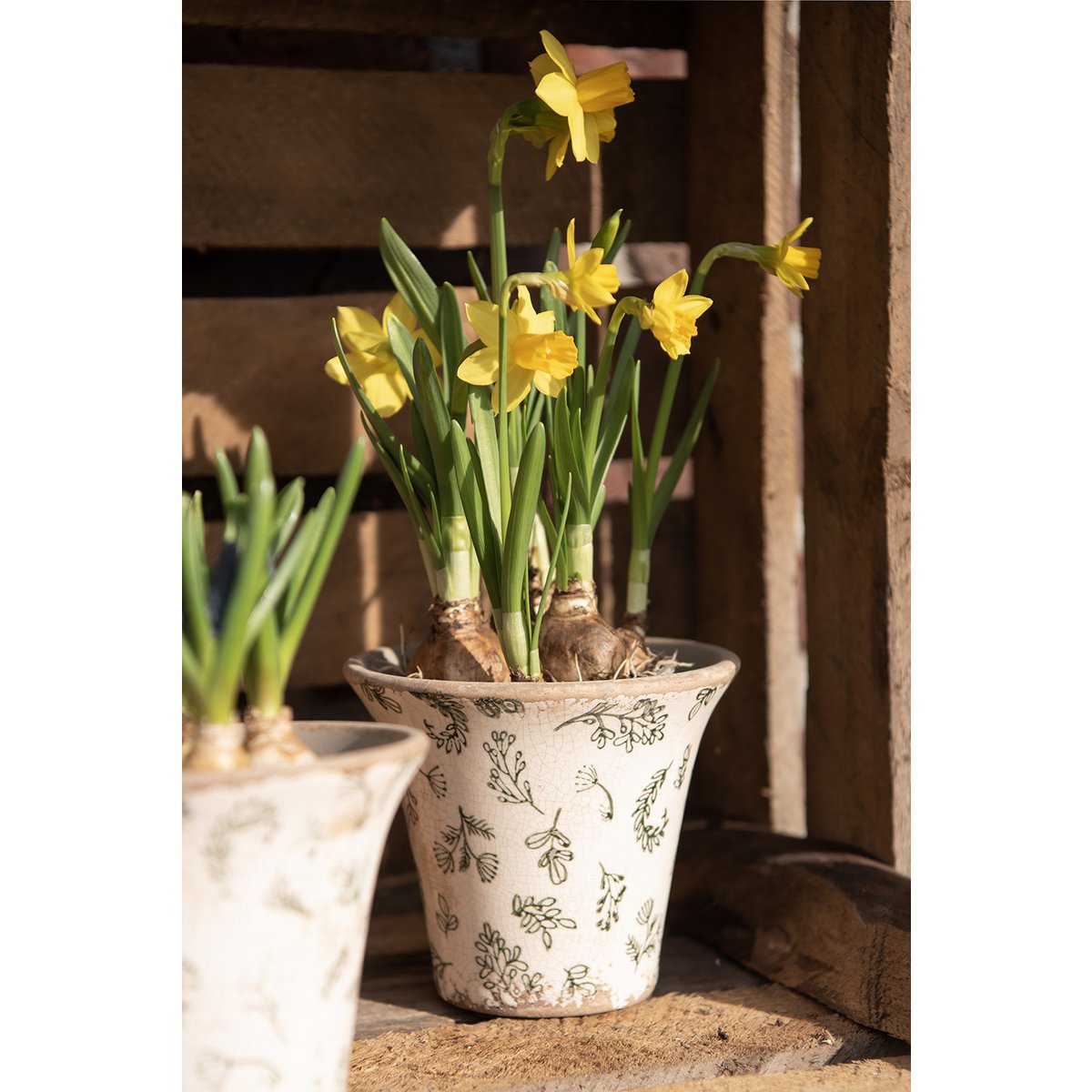 Decoratie Kan 15x10x19 cm Groen Beige Keramiek Bloemen Waterkan