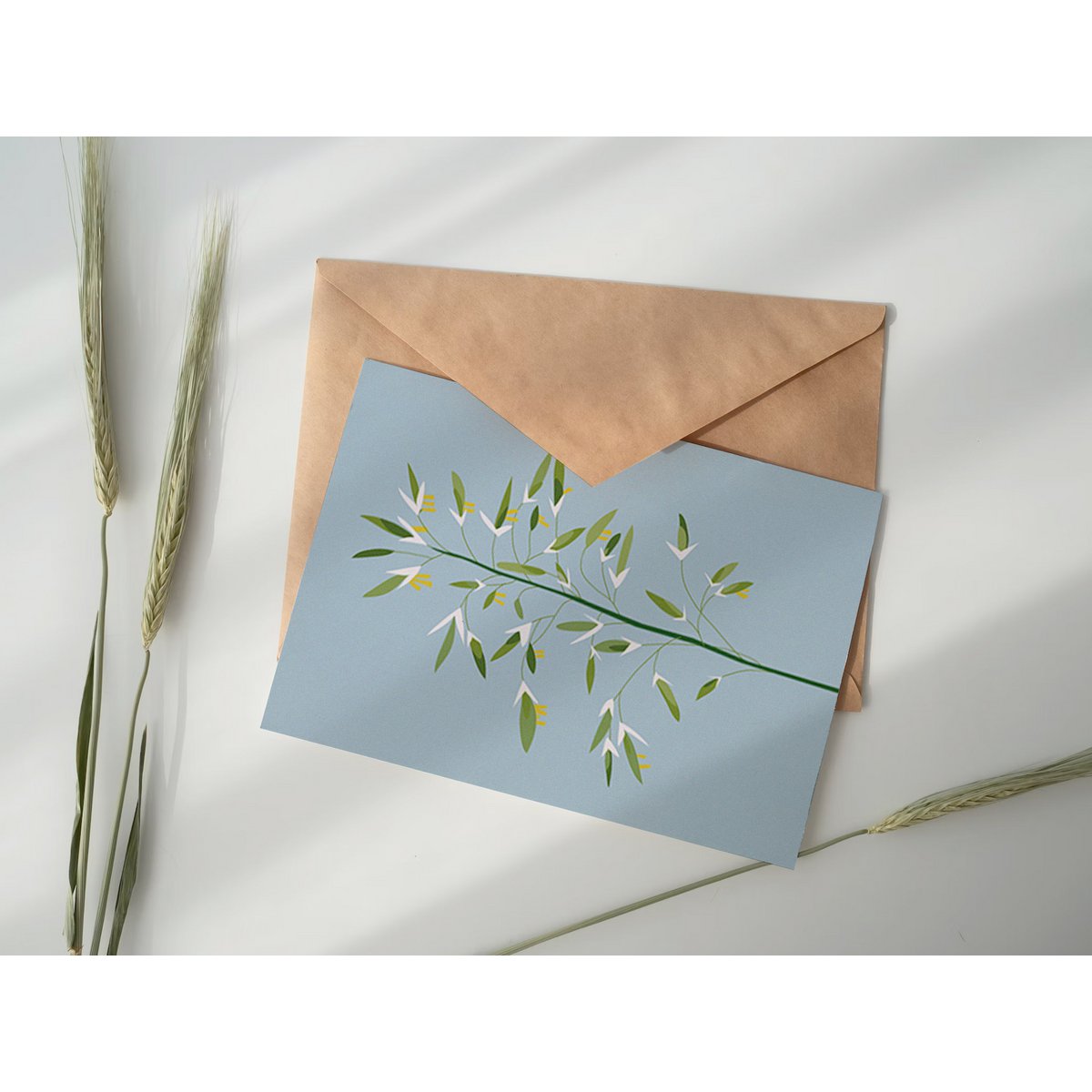 Carte Postale Botanique - Bromus