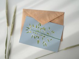 Carte Postale Botanique - Bromus