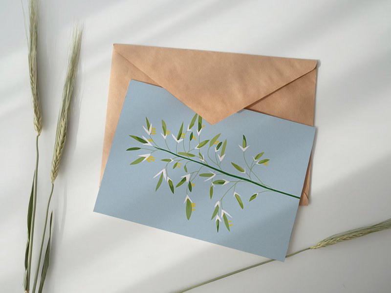 Carte Postale Botanique - Bromus