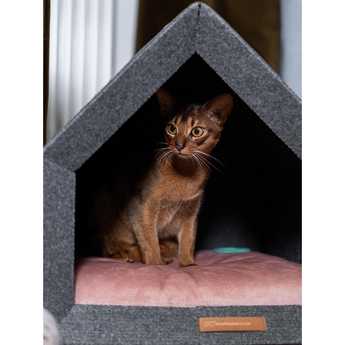 Pethome Perfekt hus til en hund og en kat - lysegrå/genanvendt