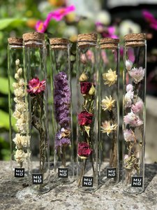 Rohr 20 cm mit getrockneter Blume - Geschenk
