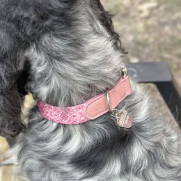  Pink patterned dog collar with bow detail, adjustable pet accessory for small to medium dogs