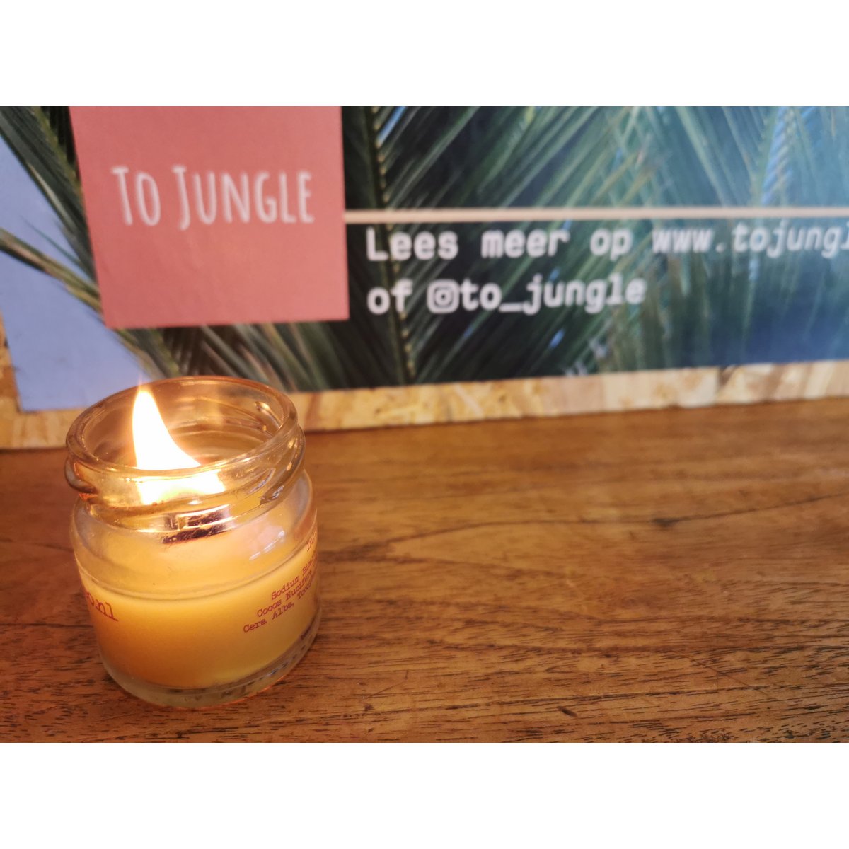 Kit de bougie To Jungle