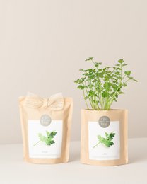 Grow Borse prezzemolo