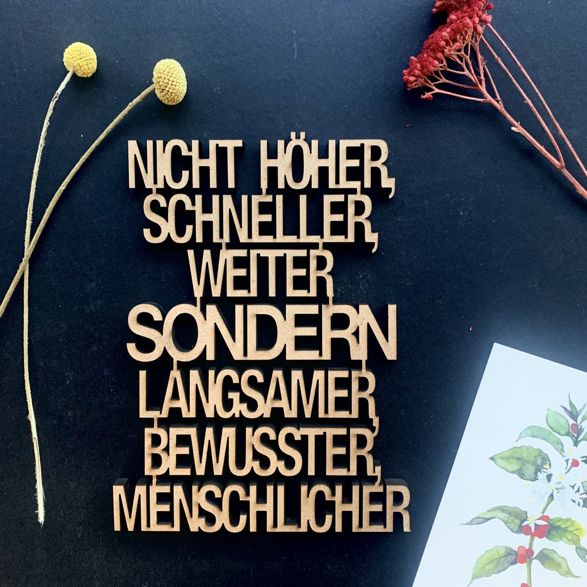 Nicht höher, schneller, weiter, sondern, langsamer, bewusster, menschlicher - Gr. M
