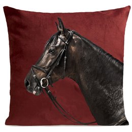 A decorative cushion featuring a close-up portrait of a dark brown horse against a deep red background. The cushion is available in two sizes, 60x60cm and 40x40cm, and the horse is shown wearing a leather halter.