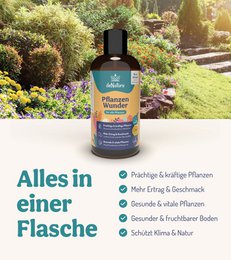 Plant Wonders - Naturligt stærke planter med bambusekstrakt